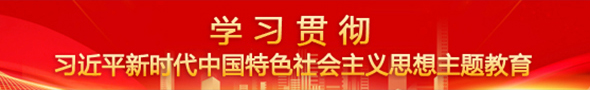学习贯彻习近平新时代中国特色社会主义思想主题教育