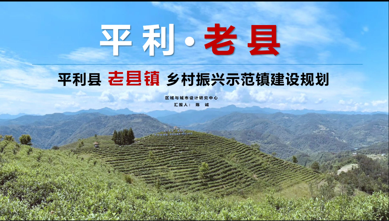 2023年度院优秀设计项目——平利县老县镇乡村振兴示范镇建设规划