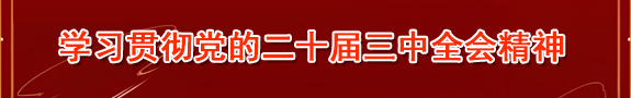 学习贯彻党的二十届三中全会精神